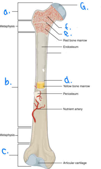 <p>What is a?</p>