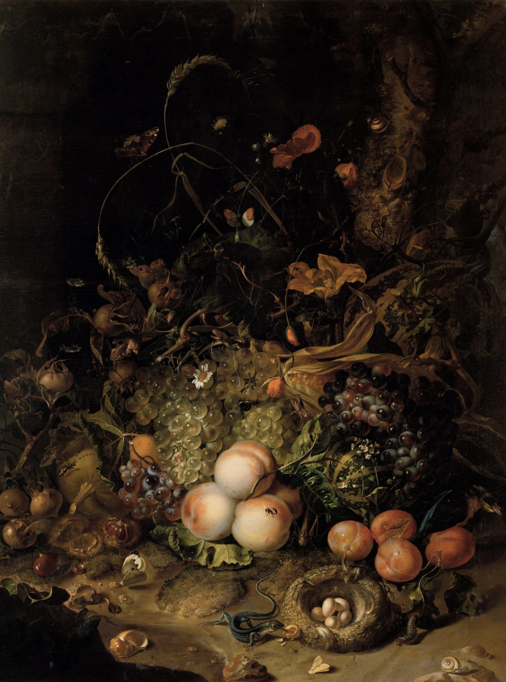 <p>Artist was female, the daughter of a scientist who was the head of the botanical garden in Amsterdam. She became a court painter for a German Duke but she never lived at the court, instead she would send paintings down. Still life paintings allowed her to indulge in her interest in science. This painting resembles a forest floor, there is an oak tree on the right and lots of imported fruits on the floor. There are a variety of animals and insects and all of the fruit is perfectly ripe and in bloom even though they are from different seasons.&nbsp;</p>