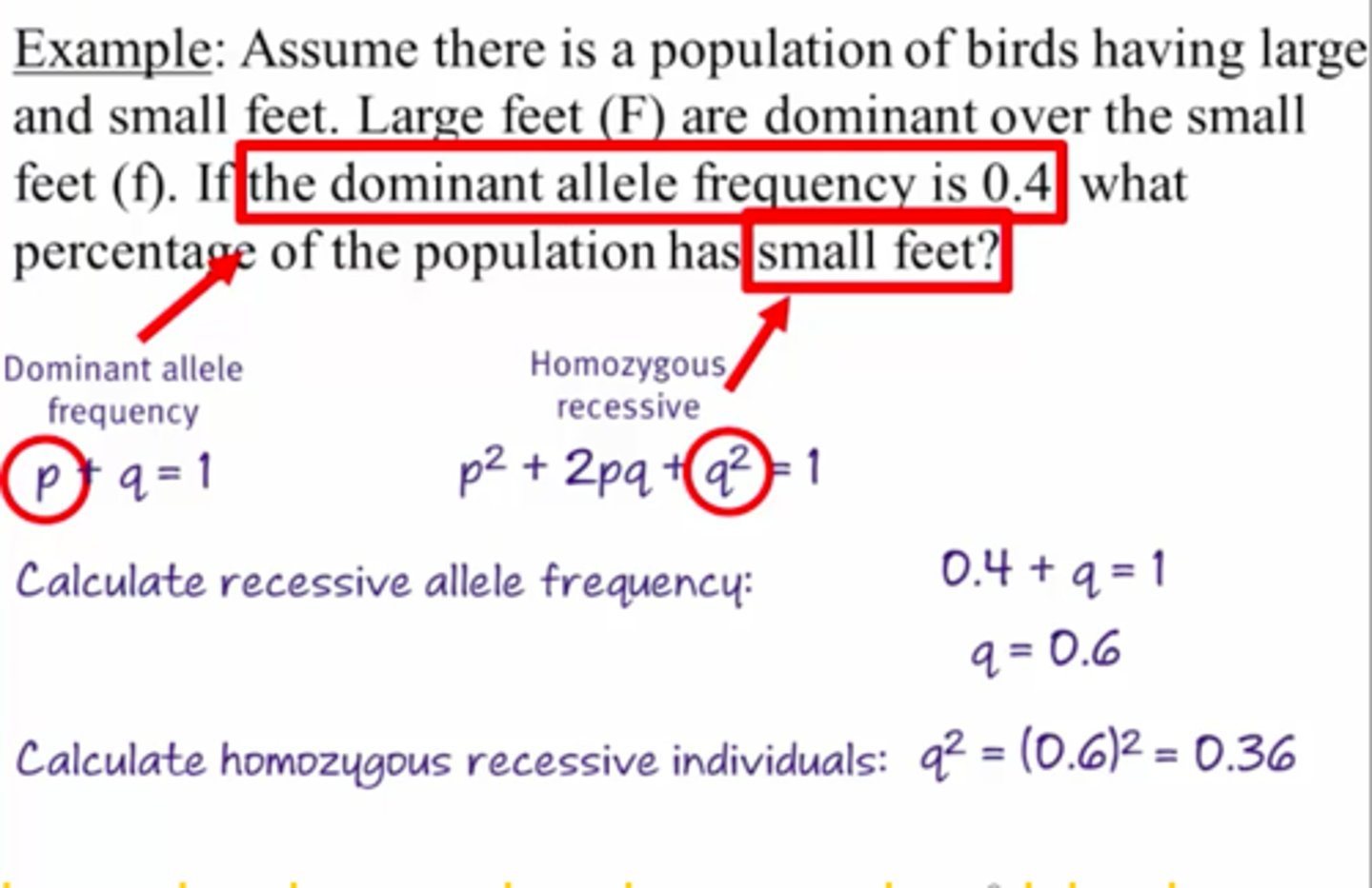 knowt flashcard image