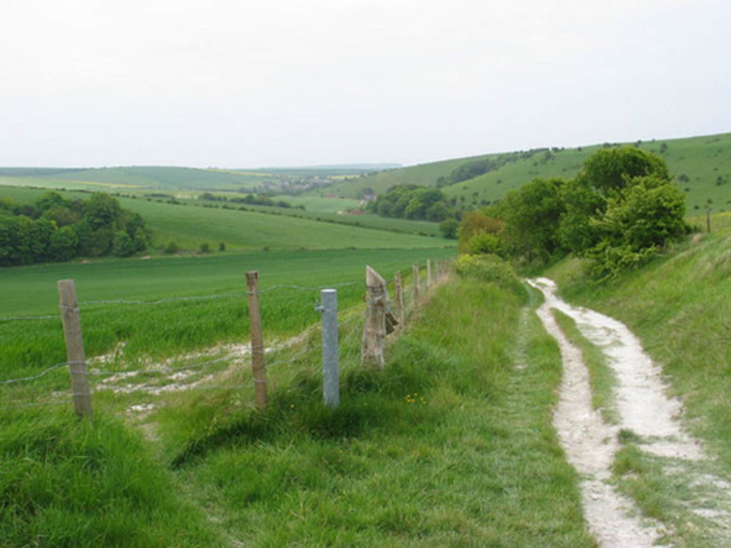 <p>The days of the open range and the cattle drive did not last long. Bad weather in the 1880s wiped out many ranchers. Others started using THIS to fence off their ranches.</p>