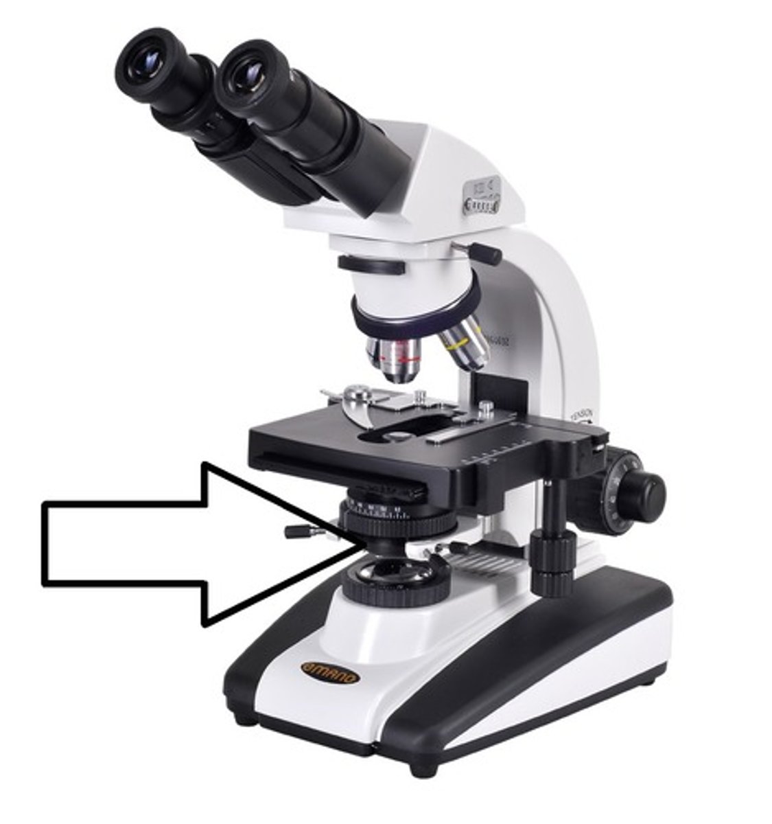 <p>focuses light through the specimen</p>