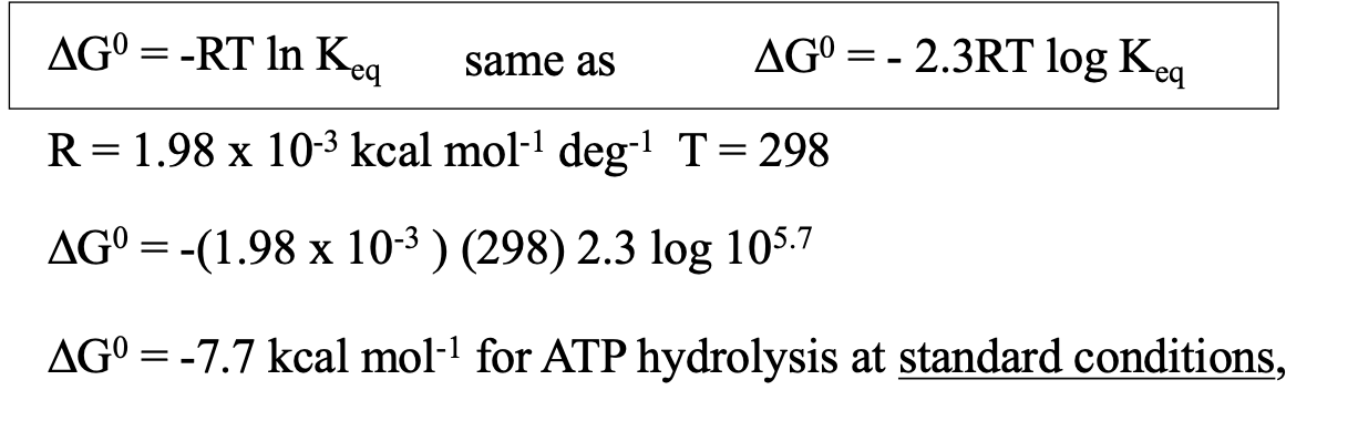 <p>ATP → ADP + Pi</p><ul><li><p>Keq is large = ATP is unstable = wants to lose P</p></li><li><p>standard conditions are not cellular conditions</p></li></ul><p></p>