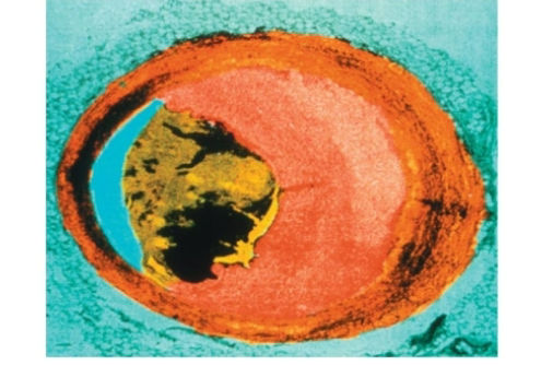 <p>what is this an example of </p>