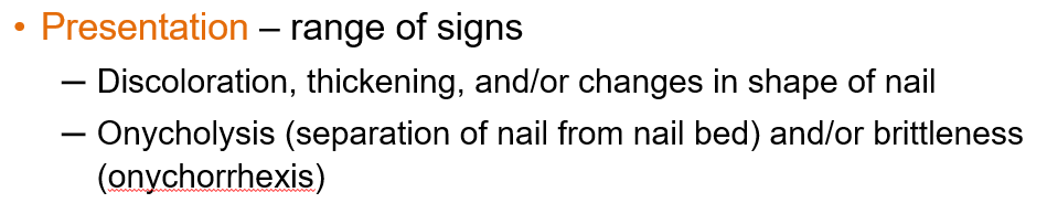 <ul><li><p class=""><strong>Discoloration</strong>, <strong>thickening</strong>, and <strong>shape changes</strong> of the nail</p></li><li><p class=""><strong>Onycholysis</strong> (nail separation from nail bed)</p></li><li><p class=""><strong>Brittleness</strong> (onychorrhexis)</p></li></ul><p></p>
