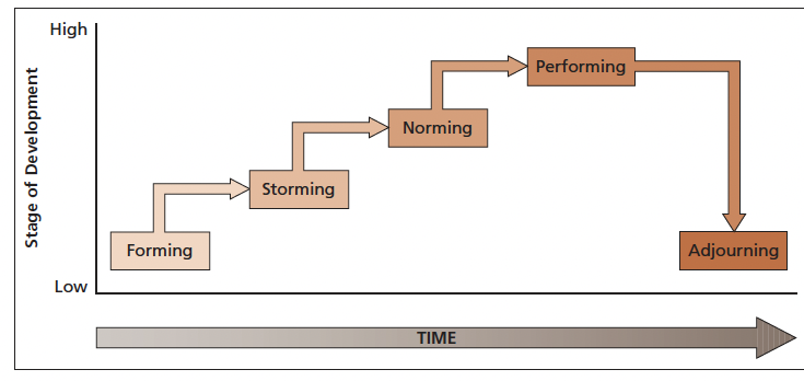 <p><u>Forming</u></p><p>The first stage where group members get to know each other, explore the group’s purpose, and figure out how to fit in. There's uncertainty and dependency on leadership.<br>ex.  A newly formed project team at a consulting firm meets for the first time to discuss their goals and share backgrounds, but everyone is still polite and cautious.</p><p><u>Storming</u></p><p>The second stage marked by conflict as members assert opinions, challenge roles, and test boundaries. Tension and disagreement are common.<br>ex.  Members of a sales strategy group disagree on how to divide responsibilities, leading to arguments and clashes over leadership and priorities.</p><p><u>Norming</u></p><p>the group resolves conflicts, establishes norms and roles, and develops stronger cohesion. Collaboration improves.<br>ex. After early conflicts, a software development team agrees on a shared coding process and starts supporting each other's ideas more openly.</p><p><u>Performing</u></p><p>The group is now fully functional, focusing on achieving goals with high efficiency, trust, and teamwork.<br>ex. A marketing team in the performing stage is creating a successful ad campaign, brainstorming creatively, and meeting tight deadlines with minimal conflict.</p><p><u>Adjourning</u></p><p>The final stage where the group disbands after achieving its goals. Emotional reflection and closure are common.<br>ex. A task force that successfully launched a new product celebrates their success with a team dinner before moving on to different assignments</p>