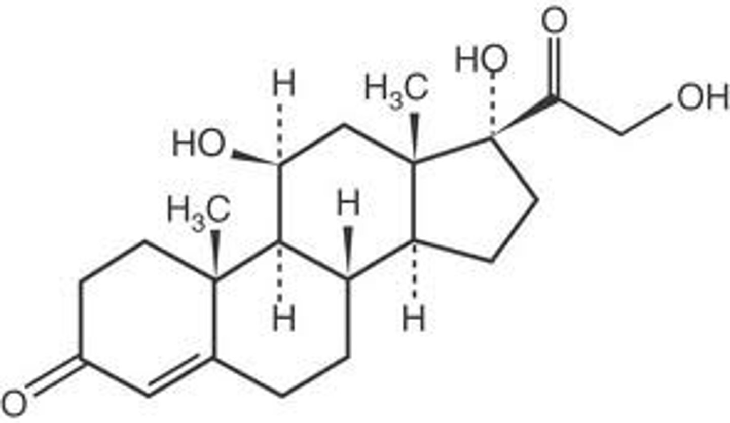 <p>Lipid with a backbone of four fused carbon rings. Ex. Cholesterol, testosterone, estrogen.</p>