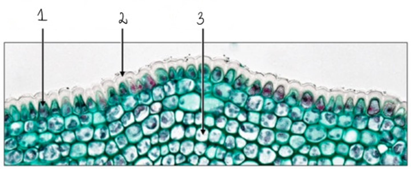 <p>2</p>