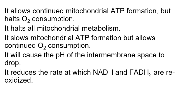 <p>What is the potential consequence of uncoupling mitochondrial oxidative phosphorylation?</p>