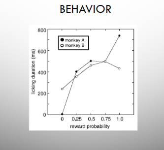 <p>as reward probability increased, licking went on for longer</p>