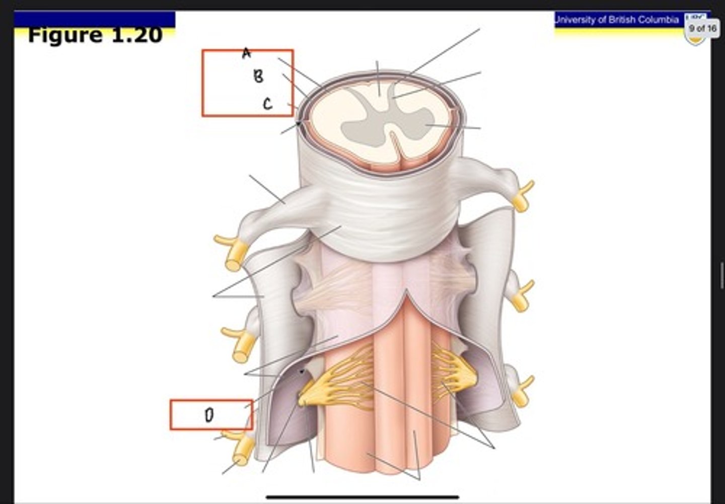 <p>What is D?</p>