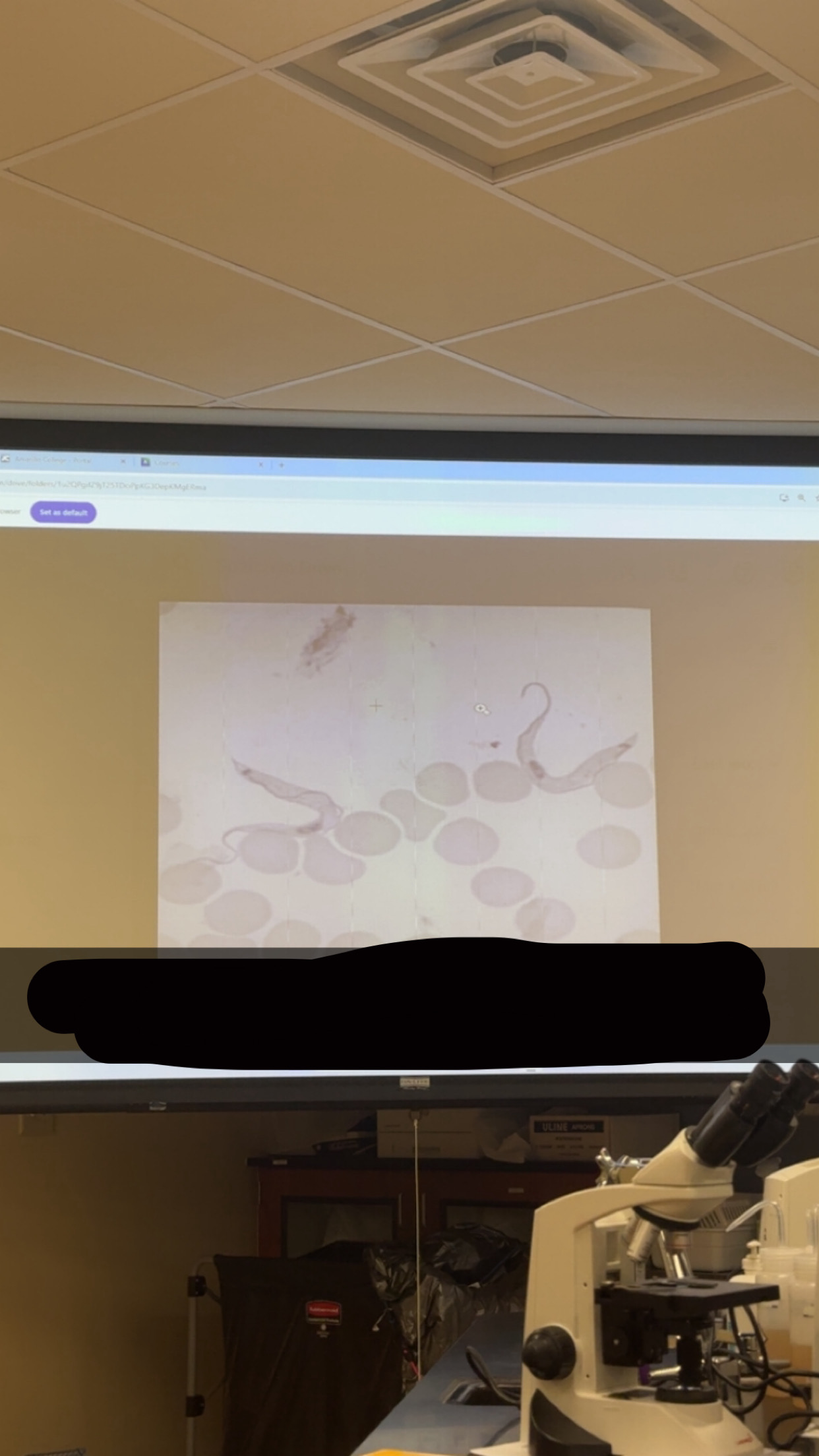 <p>What’s the name of this </p>