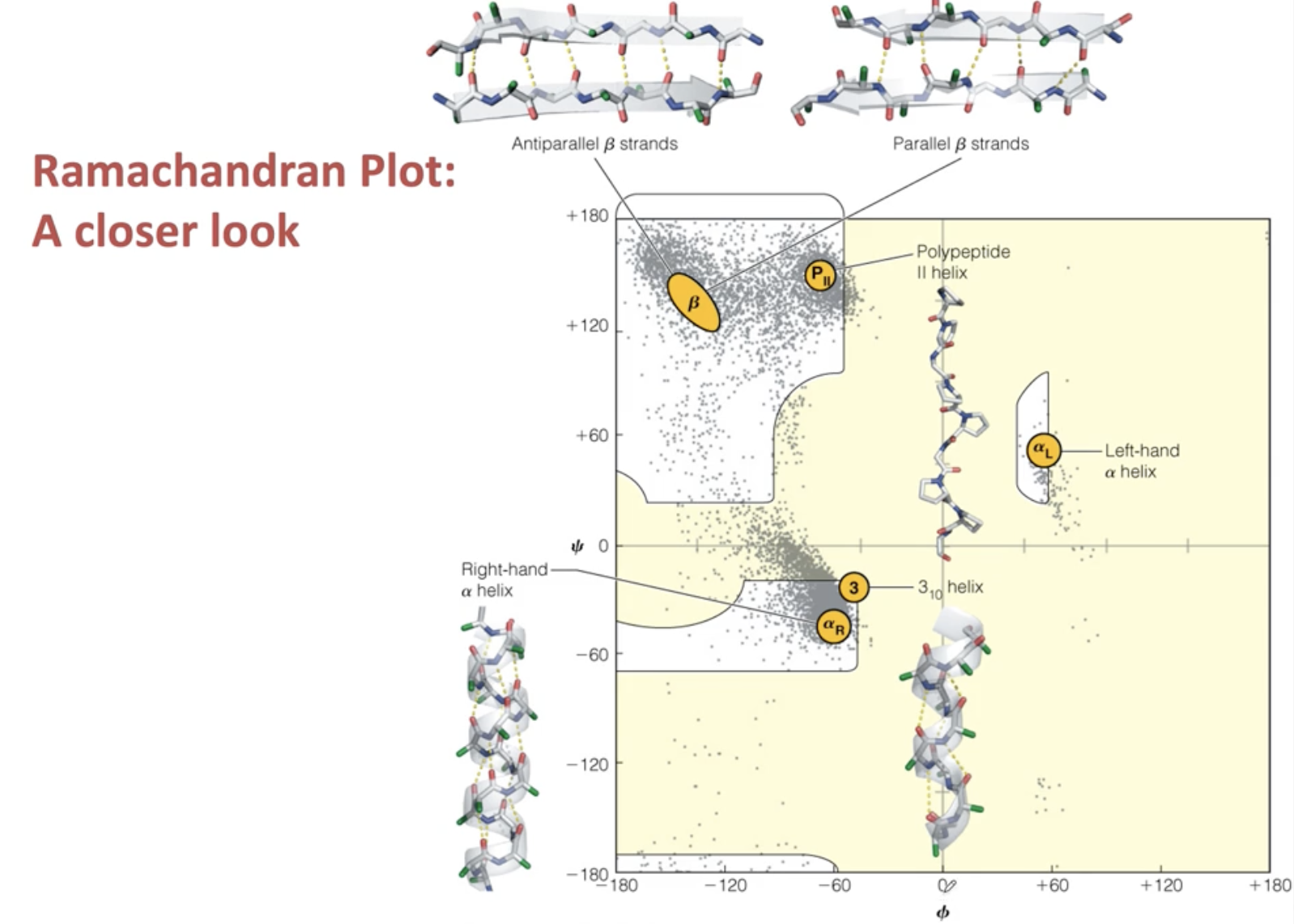 CHEM 430 Exam 1 Flashcards Knowt