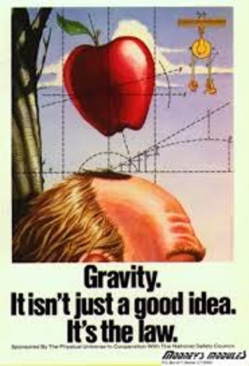 <p>A fact about nature; describes what scientists expect to happen every time under a particular set of conditions;</p><p>It has been proven to work 100%.</p>
