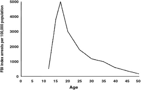 <p>Prevalence of offending peaks at a bout 17 years. </p>