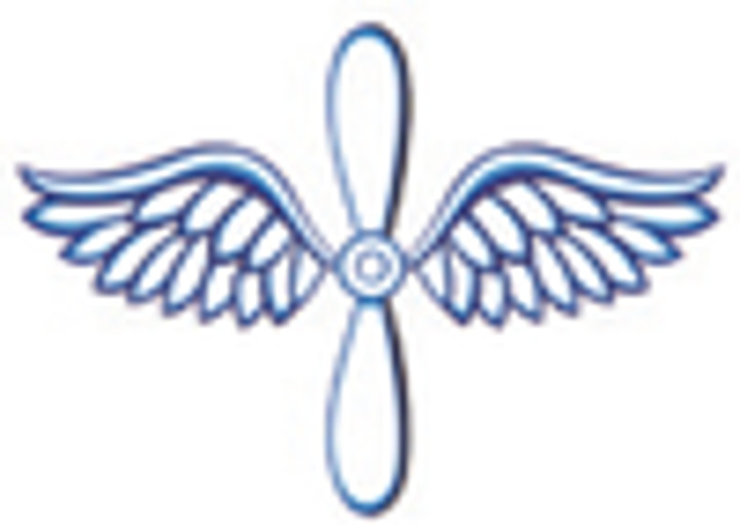 <p>Aviation Maintenance Technician</p>