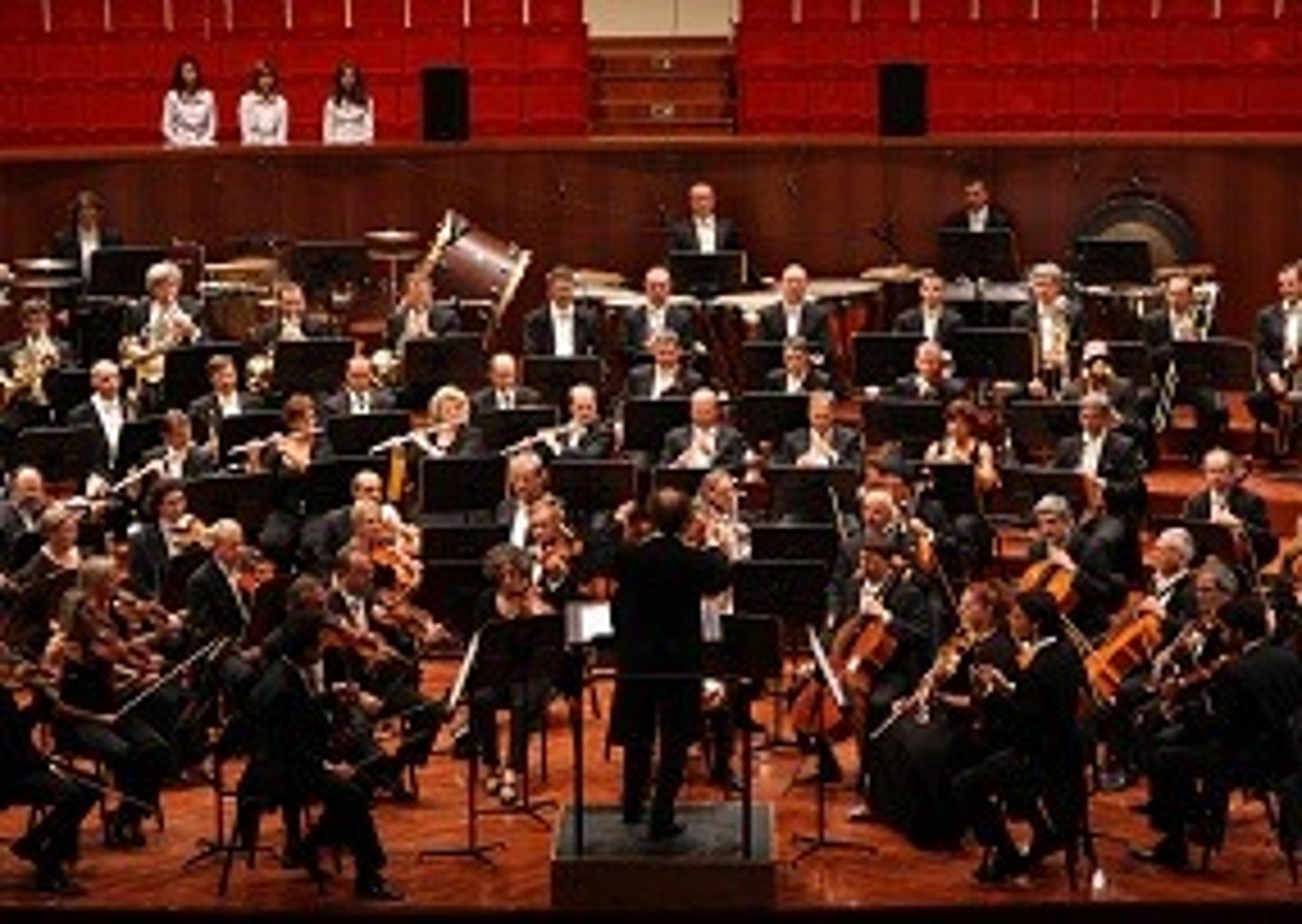 <p>Mozart(child prodigy), Haydn(father of symphony), Beethoven(greatest European composer of all time)</p>