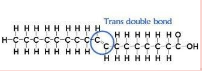 <p>what type of fatty acid? what type of fatty acid? </p>