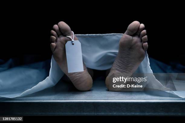 <p>What is a formal term for<strong> deceased individuals?</strong></p>