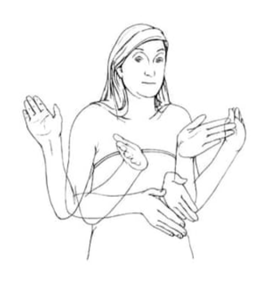 term image