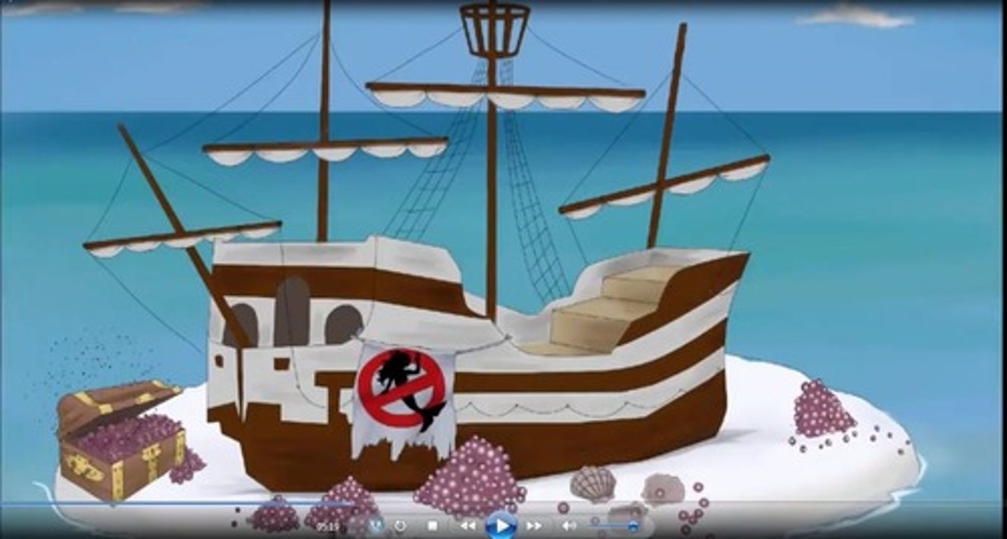 <p>I ___ this pirate ship.</p>