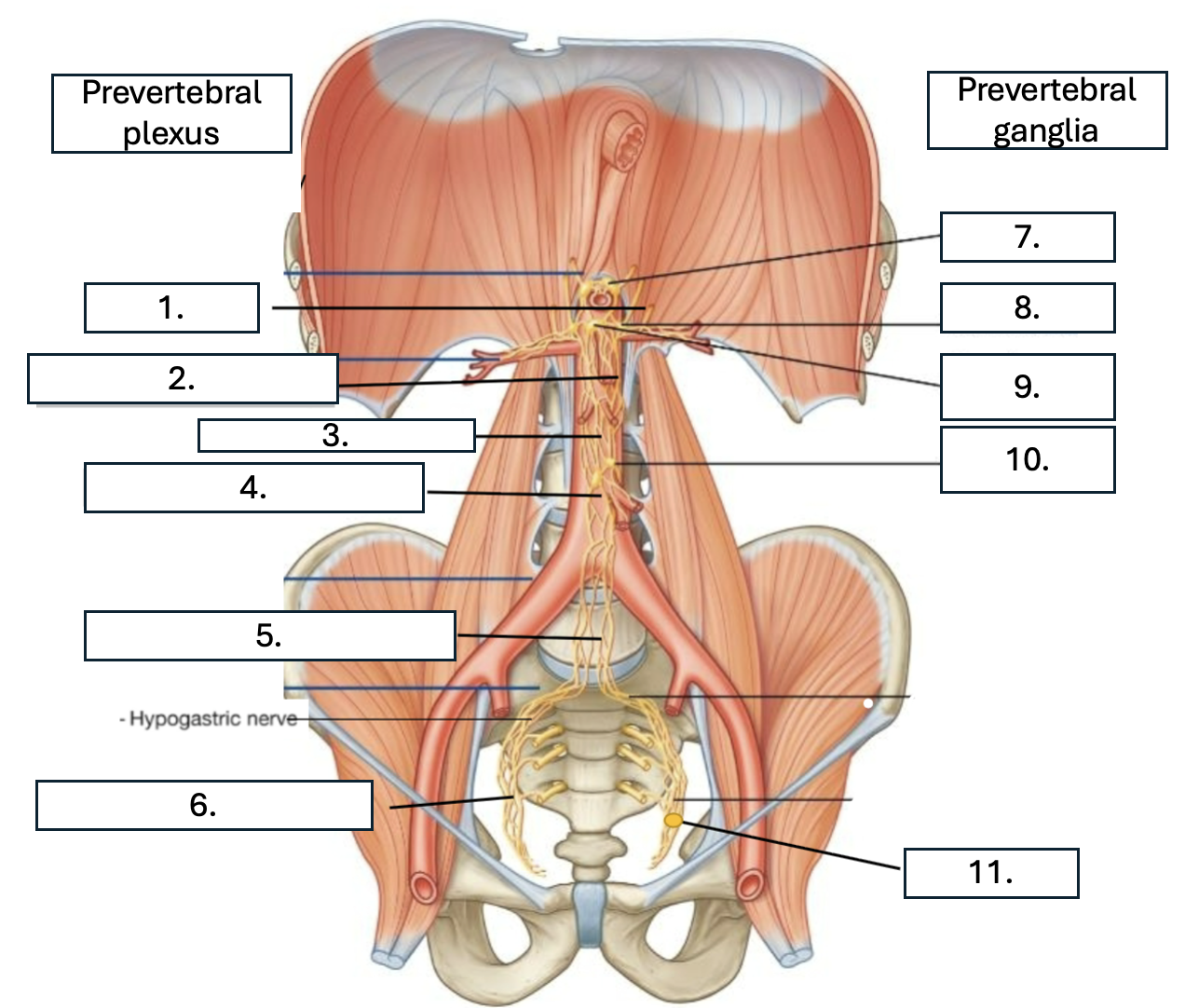 <p>What is number 6?</p>