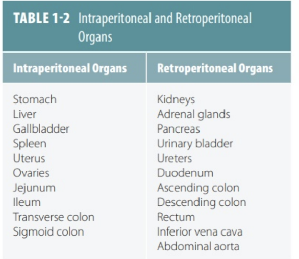 <p>Abdominal viscera can be anatomically divided based on their relationship to the peritoneum —</p><ul><li><p>Intraperitoneal organs</p><ul><li><p>Covered by visceral peritoneum, both anteriorly &amp; posteriorly</p></li><li><p>Ex. stomach, liver, spleen</p><ul><li><p>Usually more mobile, while retroperitoneal are attached to posterior abdominal wall</p></li></ul></li></ul></li><li><p>Retroperitoneal organs</p><ul><li><p>Not associated with visceral peritoneum, only covered in parietal peritoneum on their anterior surface — can be further subdivided -</p></li><li><p>Primarily retroperitoneal —</p><ul><li><p>Developed &amp; remain outside parietal peritoneum</p><ul><li><p>Ex. esophagus, rectum, &amp; kidneys</p></li></ul></li></ul></li><li><p>Secondarily retroperitoneal</p><ul><li><p>Initially intraperitoneal, suspended by mesentery</p></li><li><p>During embryogenesis, they became retroperitoneal as their mesentery fused with posterior abdominal wall</p></li><li><p>Thus, in adults, only their anterior surface is covered with peritoneum</p></li><li><p>Ex. ascending &amp; descending colon</p></li></ul></li></ul></li></ul>