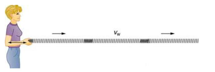 <p>disturbance (or vibrations) are parallel to the direction of the wave</p>