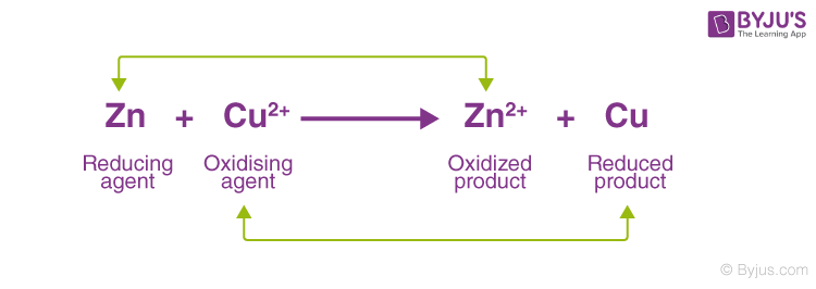 <p>chemical reactions where electrons are transferred from one molecule to another </p><p>• Molecules that donate electron(s) are reducing agents and those that accept electron(s) are oxidizing agents </p><p>• Molecules that gain electron(s) after the reaction are reduced and those that lose electron(s) are oxidized</p>