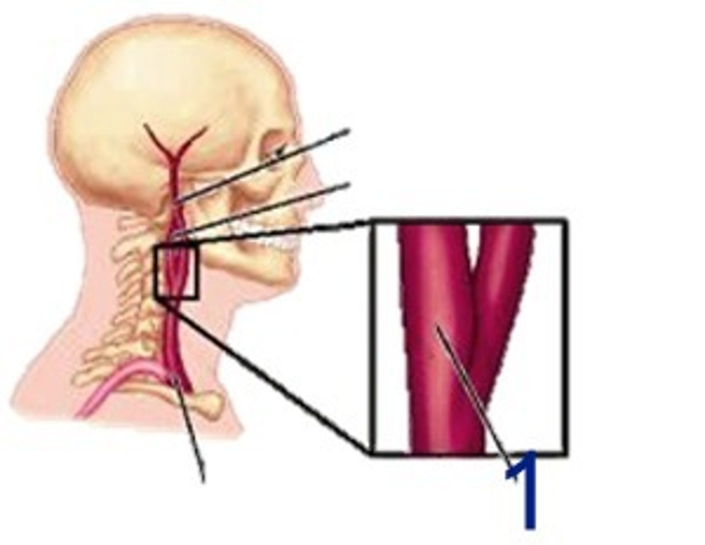 <p>What is this structure?</p>