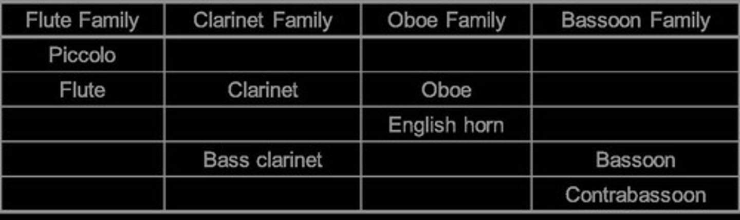 <p>Flute, Clarinet, Oboe, Bassoon, Saxophone.</p>