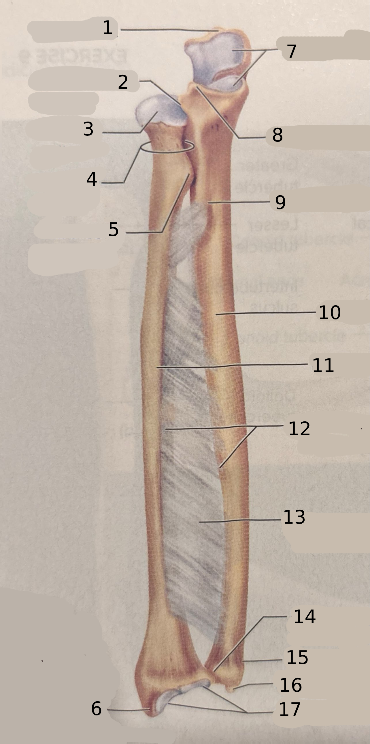 <p>#13</p>