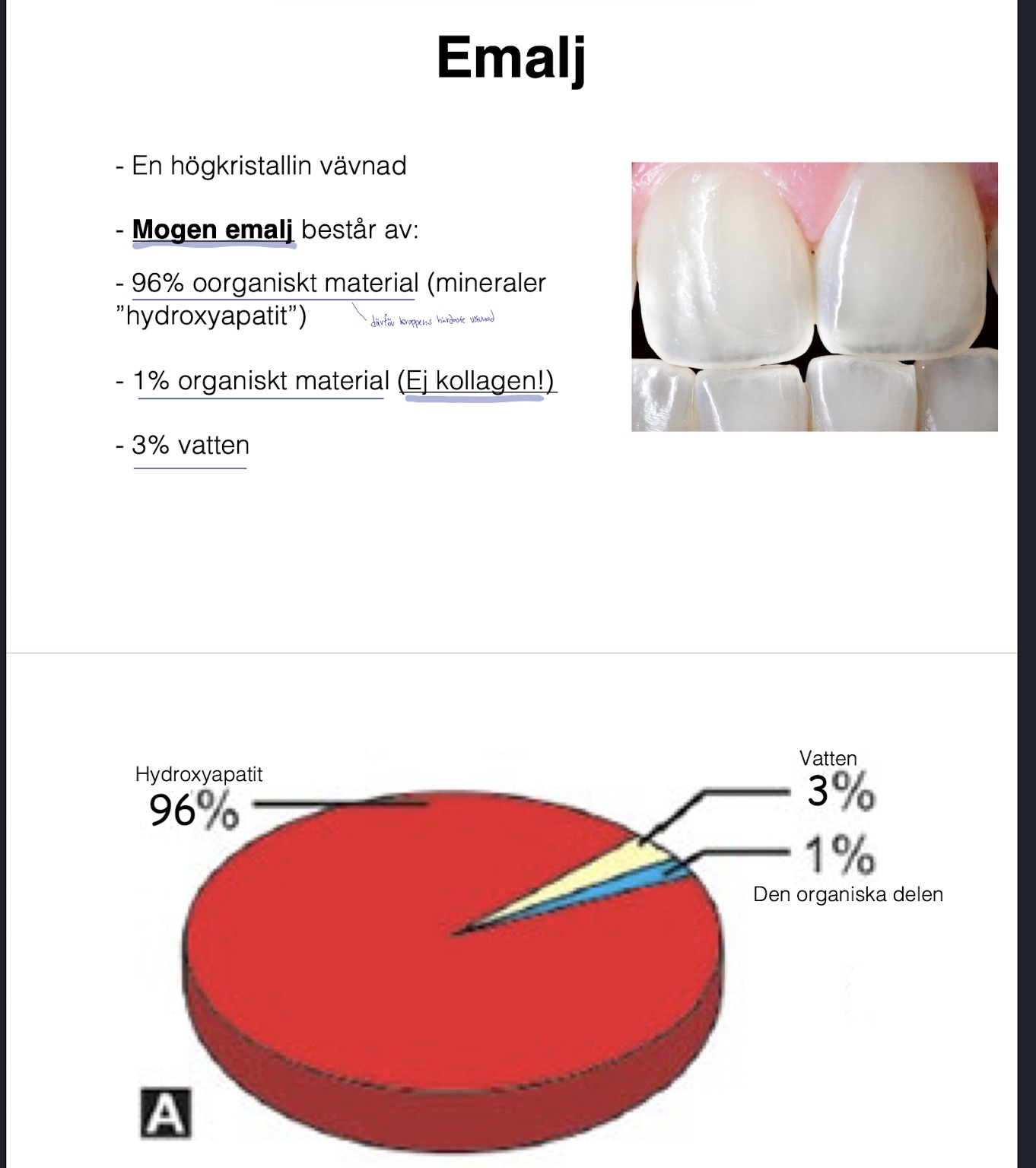 <ul><li><p>96% oorganisk material - Hydroxyapatit</p></li><li><p>1% organiskt material (ej kollagen)</p></li><li><p>3% vatten</p></li></ul><p></p>