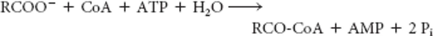 <p>RCOO- + CoA +ATP +H2O --> RCO-CoA +AMP + 2Pi</p>