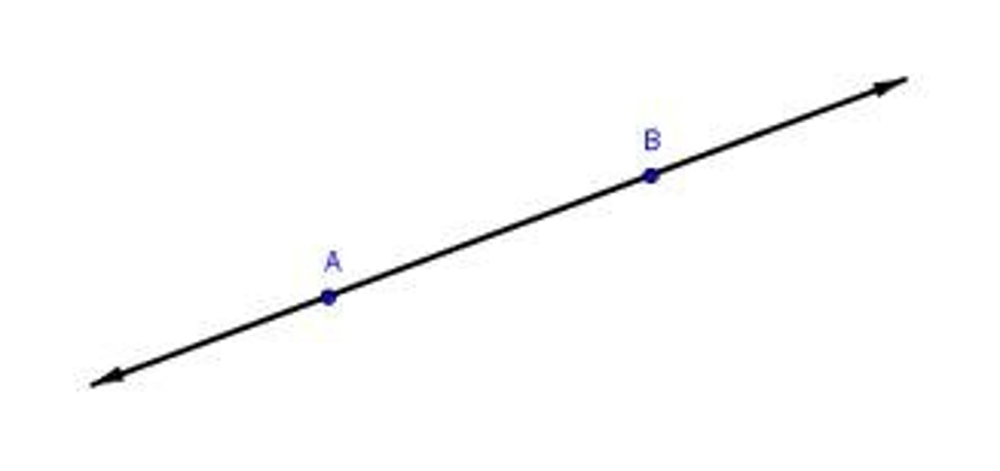 <p>there is exactly one line (postulate)</p>