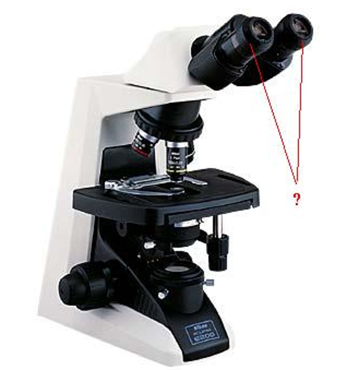 <p>Identify the indicated parts of the microscope.</p>