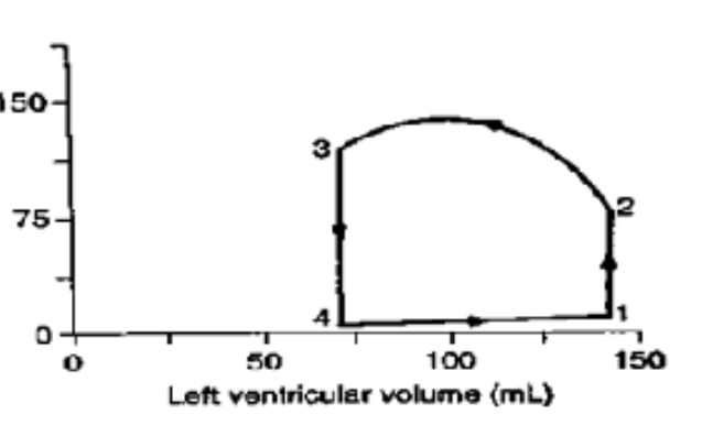 <p>At which point does the aortic valve close on a PV loop?</p>