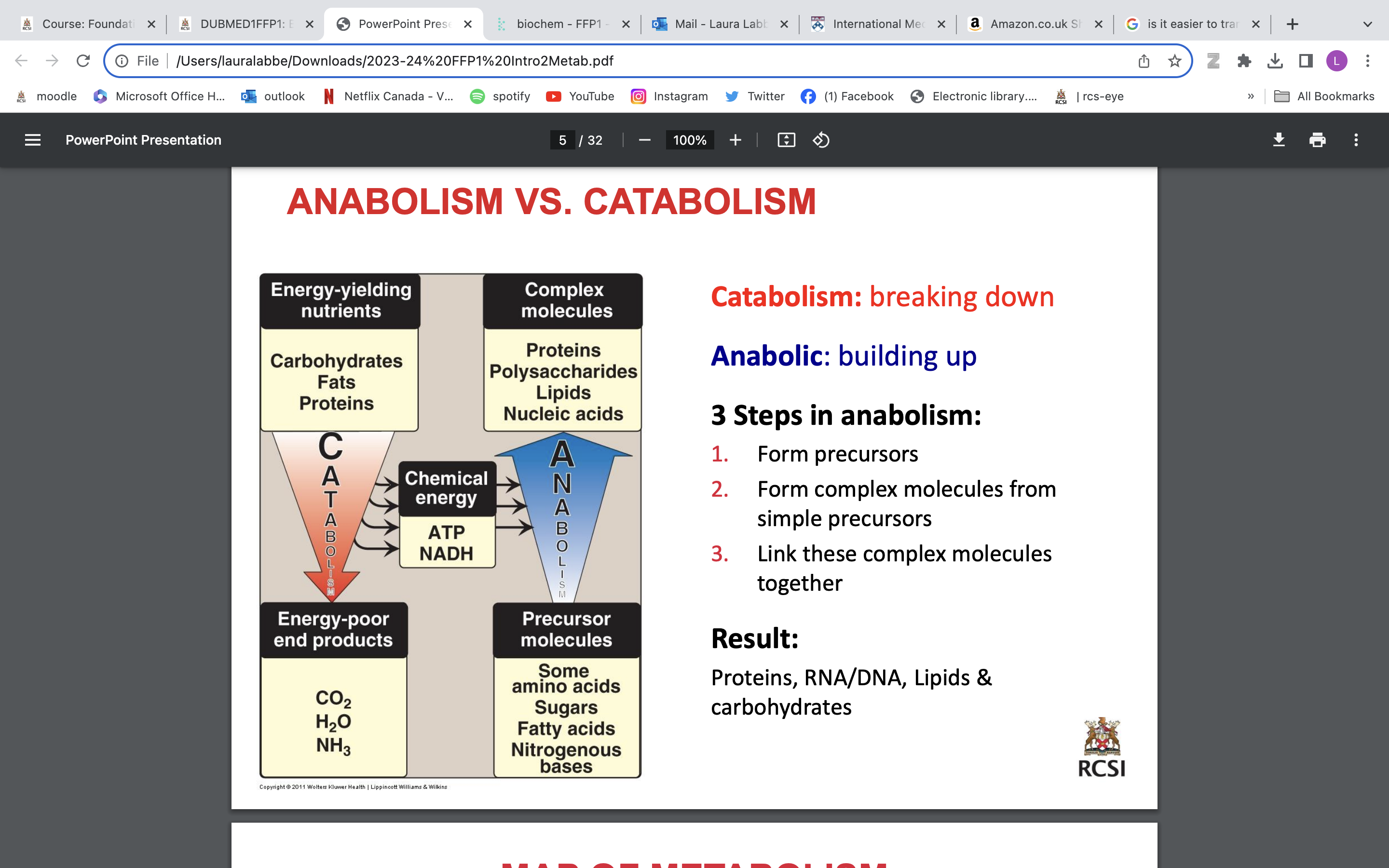 <p>Anabolism example: Glucose used as a building block to make glycogen← energy input</p><p></p><p>Catabolism example: Carbohydrate (starch) → glucose (monosaccharide)→ energy out</p><p></p><p>Energy generated from catabolic pathways can be used in anabolic pathways</p>