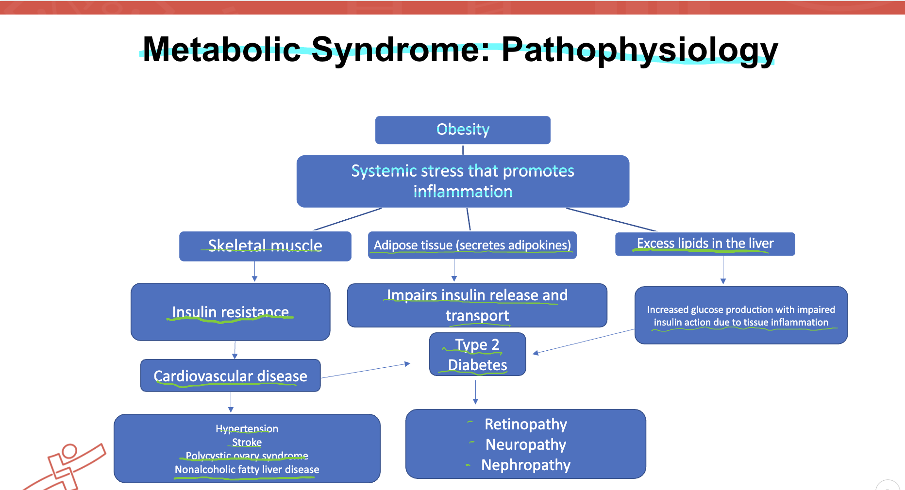 <p><strong><u>Criteria for _ syndrome= Elevated; blood pressure, glucose, and cholesterol. </u></strong></p><p>Disorders that result= hyperglycemia, hypertension, hyperlipidemia, elevated plasma triglycerides, low HDL-cholesterol, and central obesity. </p><p>If untreated this group of disorders or cardio-metabolic risk factors, lead to DMT2 or cardiovascular disease, stroke. </p><p><strong>The main feature of _ syndrome is insulin resistance(resistance to hormone insulin, results in increase in blood glucose levels) which can also be seen in DMT2.</strong></p>