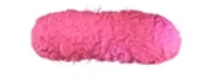 <p>Bacterial devoid without flagellum</p>