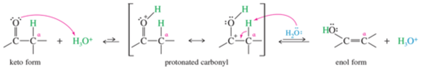 <p>Here we see Keto to Enol, but the reserve reaction is the dominant. This is the form of the reaction that allows for alpha carbon activity. The reaction funnels to the product in this way.</p>