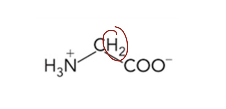 <p>What amino acid is this? 3-letter code? Characteristics? </p>