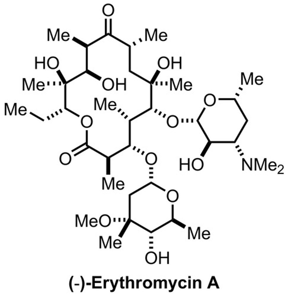 <p>macrolides</p><p>elongation rRNA</p><p>50S</p><p>peptide</p><p>bacterial</p>