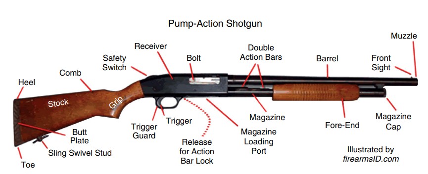 Pump-Action Shotgun