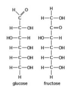 <p>25) Use the following figure to answer the question.</p><p class="p1">The figure shows the structures of glucose and fructose. These two molecules are ________.</p><p class="p1">A) isotopes</p><p class="p1">B) enantiomers</p><p class="p1">C) <em>cis-trans</em> isomers</p><p class="p1">D) structural isomers</p>