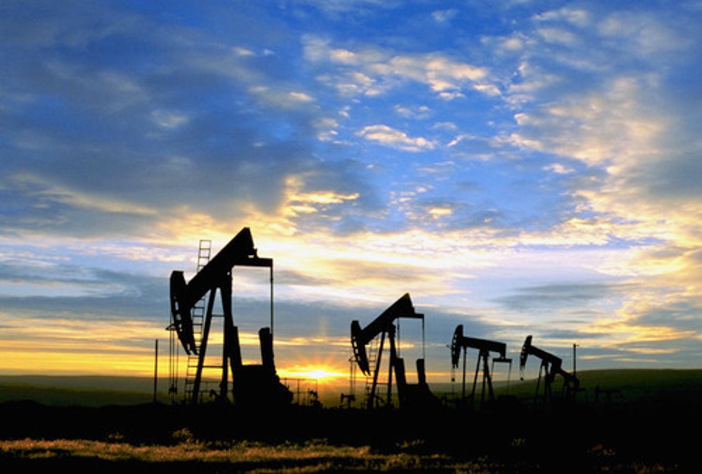 <p>oil</p>
