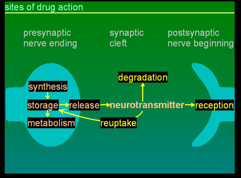 <p>what is that</p>