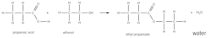 <ul><li><p>the reaction of an alcohol with a carboylic acid to form an ester</p></li><li><p>an alcohol is warmed with a small amount of concentrated sulphuric acid, which acts as a catalyst</p></li></ul><p></p>