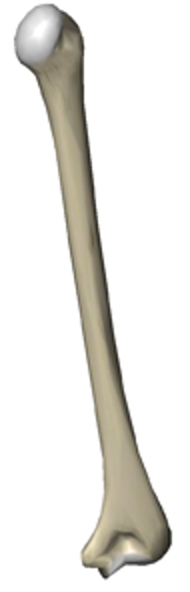 <p>right or left?</p>