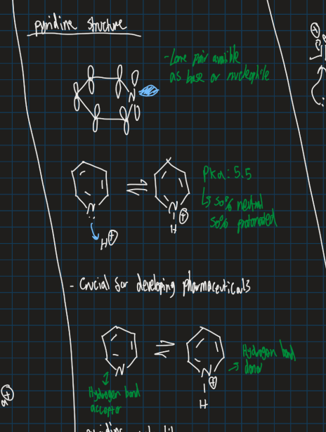 <ul><li><p>Pka of 5.5 → Created 50% neutral and 50% protonated product</p></li></ul><p></p>