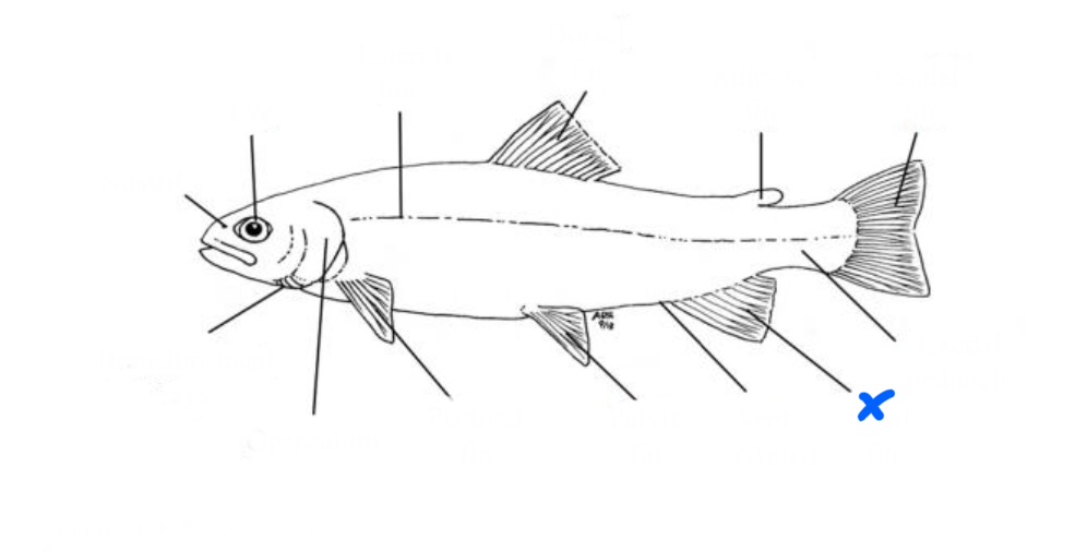 <p>What is this?</p>